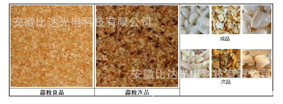 蒜片-网