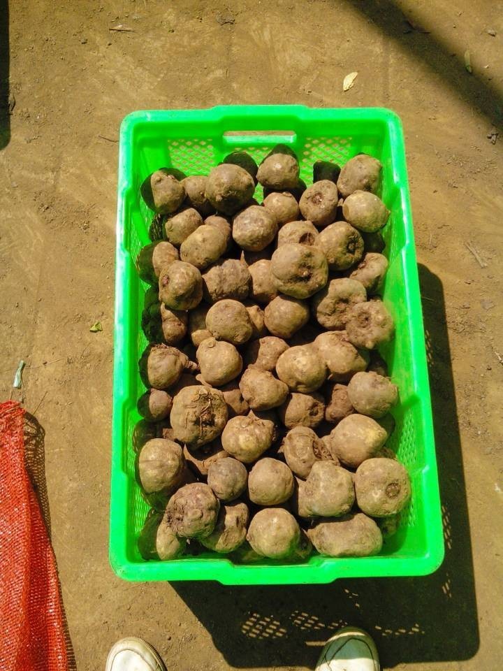 QQ图片20140905170048