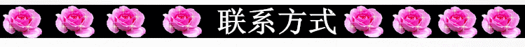联系方式