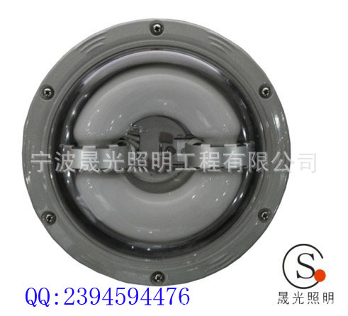 SG-NFC9176长寿顶灯1副本1