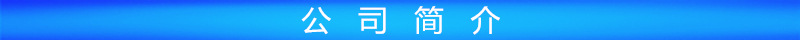 公司简介