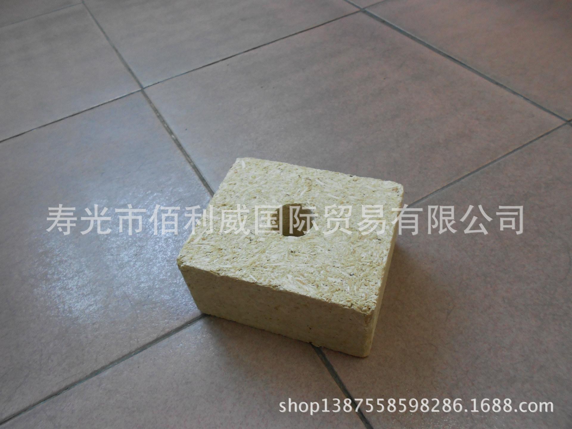 DSCN0345