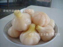 复件 844827835_813962830_220x220