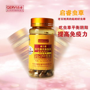 启睿虫草胶囊 虫草胶囊 护肺 虫草菌丝 滋阴润肺 厂家直供批发