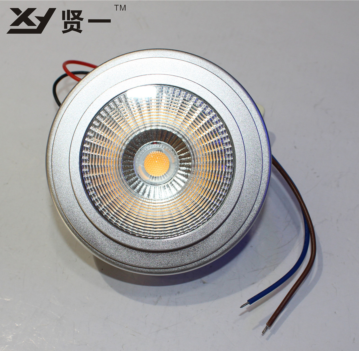 LED斗胆灯 LED斗胆灯内胆 COB15W 商照专用 生产周期短 厂家直销