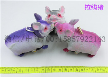 CIMG2609