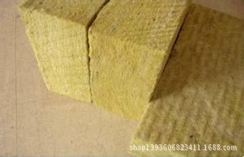 公司最新产品