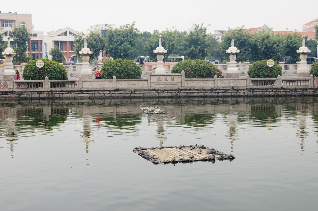 南普陀寺放生池.