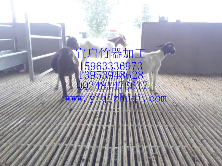 高密度24片竹羊床 羊用竹制漏粪板 羊羔产床 羊用养殖设备 羊竹床
