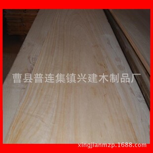 全国招商批发木板 桐木拼板 桐木板 建筑模板 装饰板材 家具环保材料