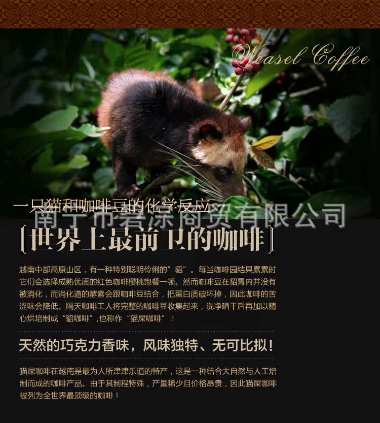 咖啡粉详情页无水印_10