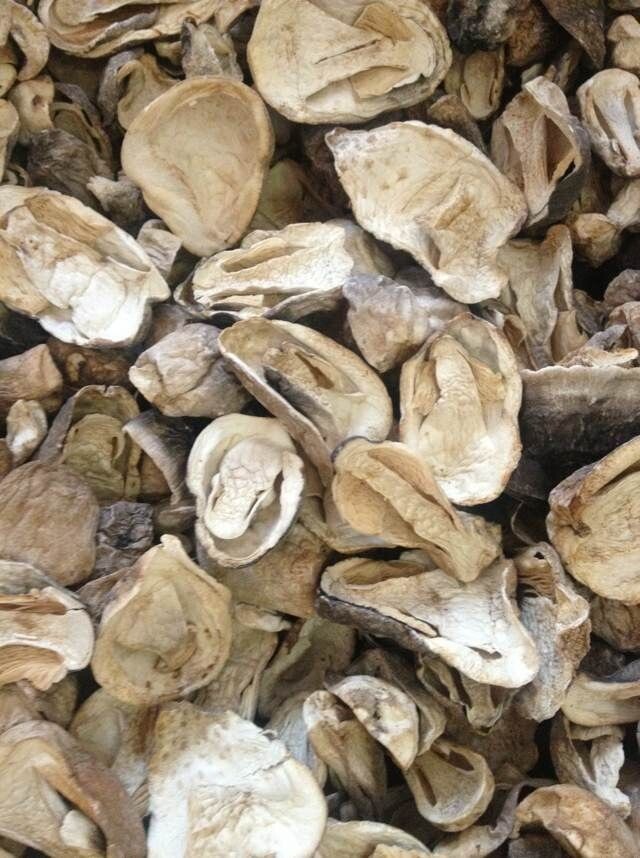 草菇 秆菇 麻姑 稻草菇 包脚菇