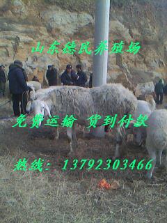 2cf5e0fe9925bc3147f34bd55edf8d