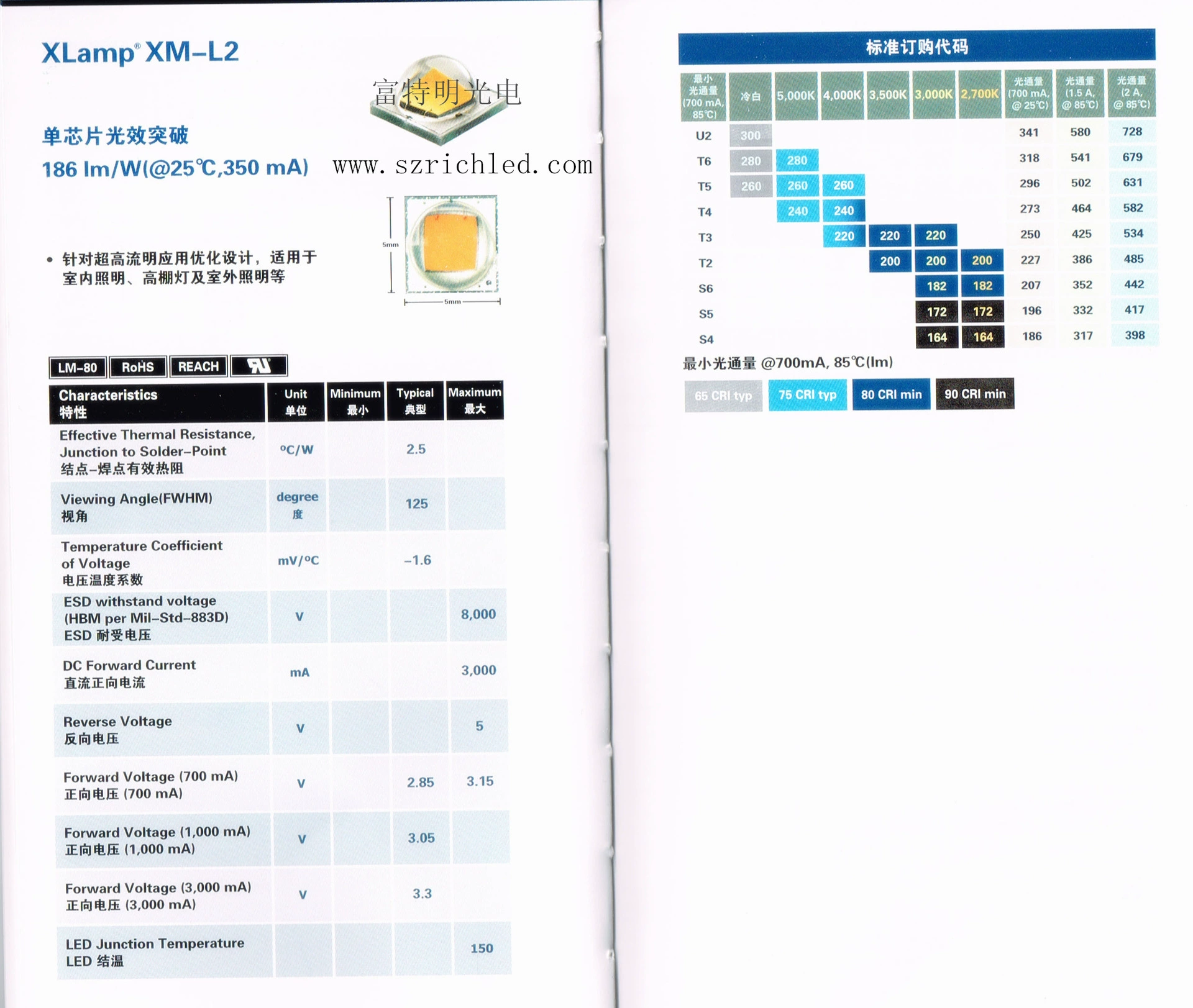 XML2 _副本