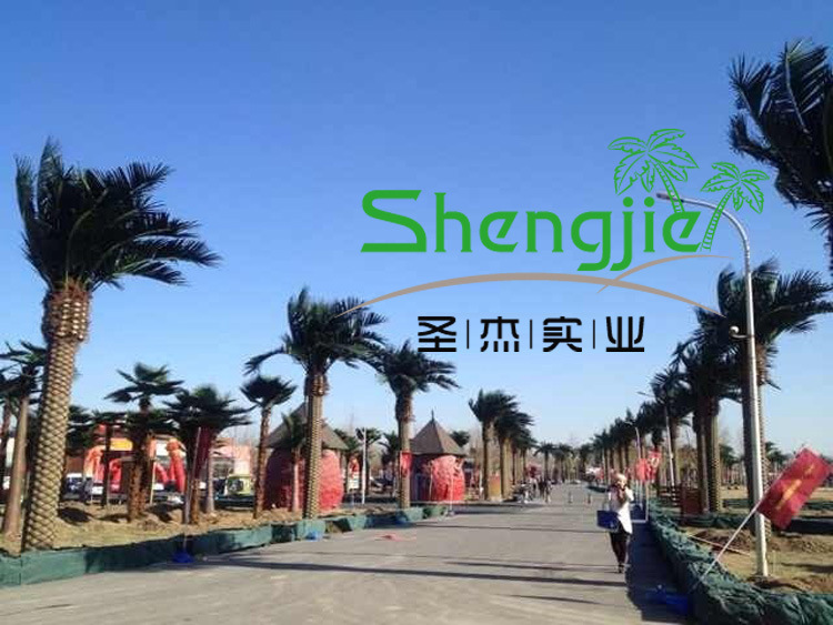 QQ图片20131226181652