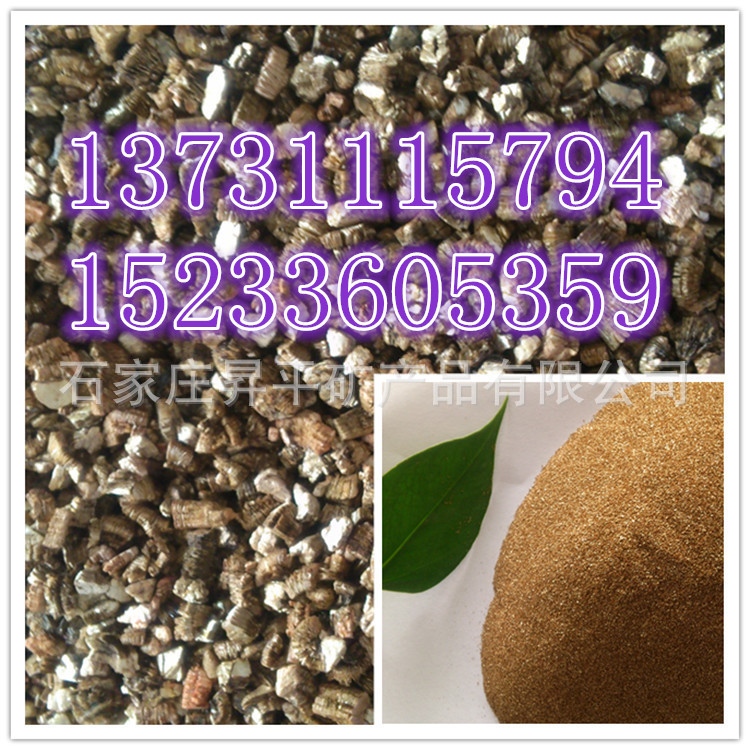 DSC_1818_副本_副本