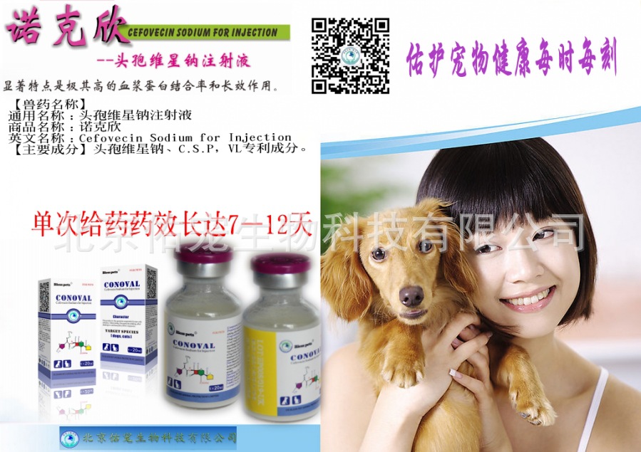 不可忽视的宠物疾病 犬猫急慢性胰腺炎