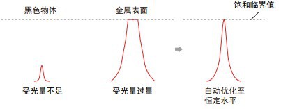 特点CD33-3