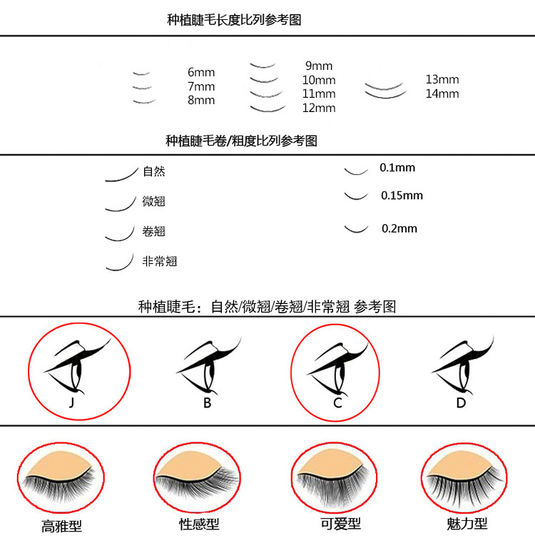 鸡爪毛 60簇多根种植嫁接朵毛 厂家直销 纯手工编织 扇形假睫毛