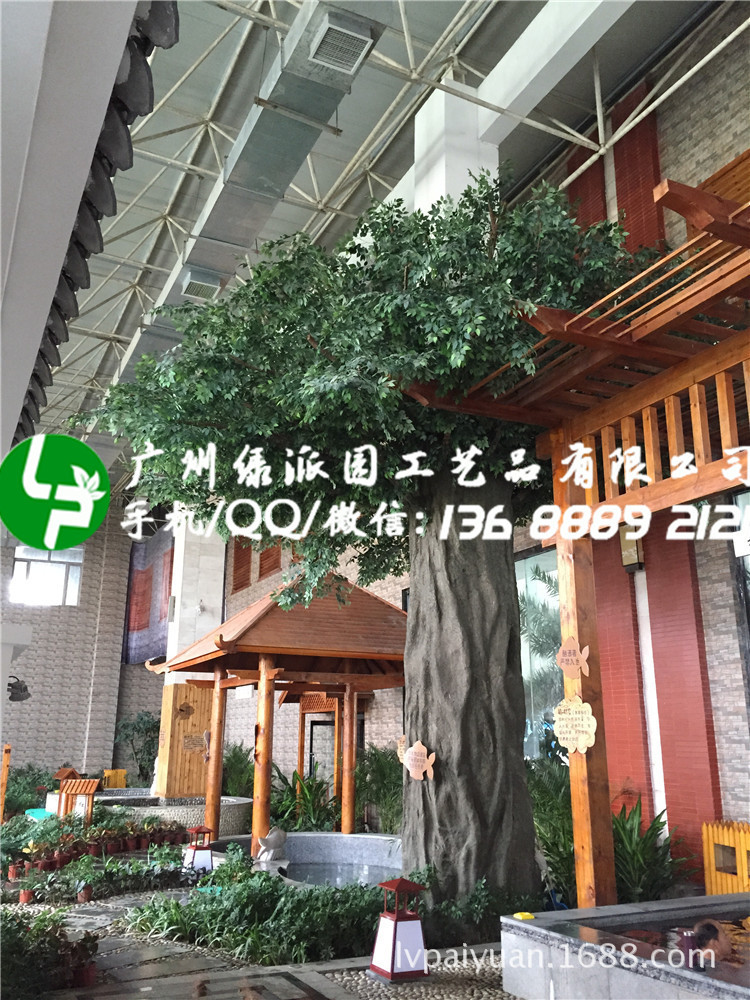 绿派园榕树156_副本