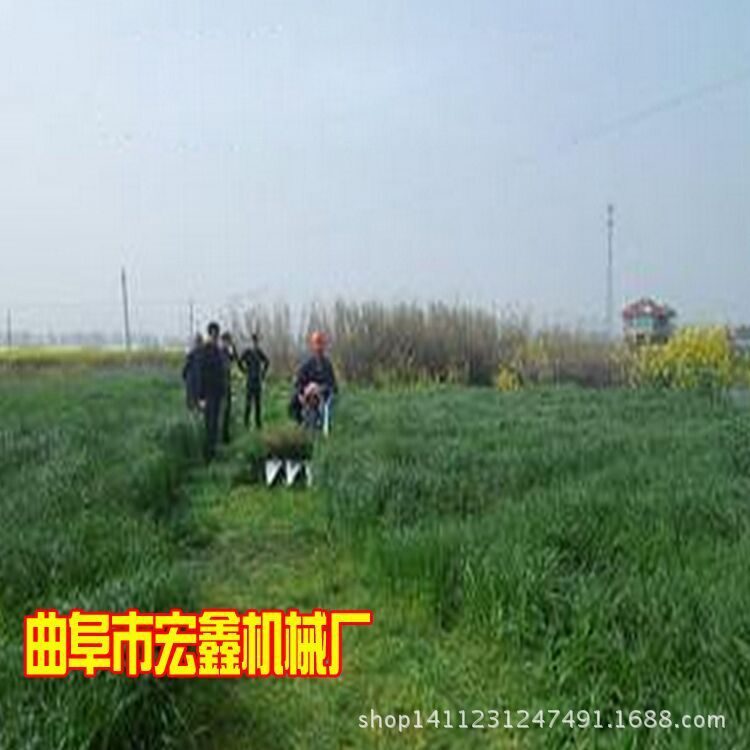 QQ图片20150708102817