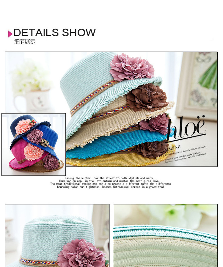 DG1689毛边大花朵草帽 (26)