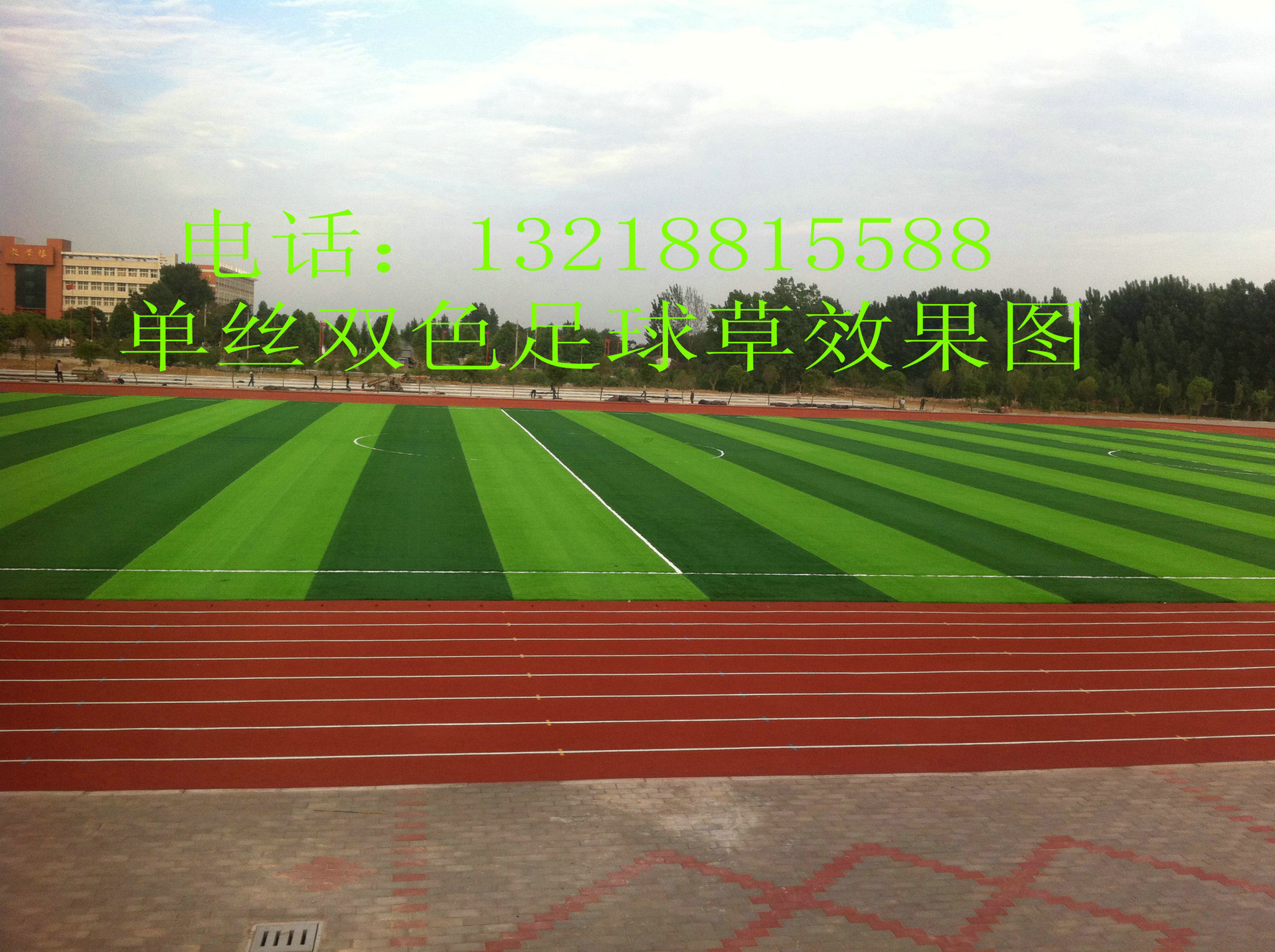 部分工程案例－河南第一高中双色足球草