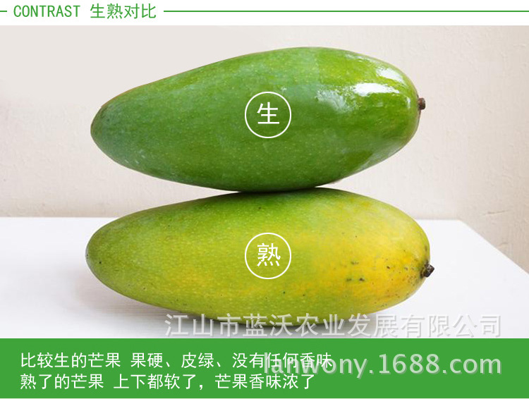 新鲜水果芒果 越南大青芒青皮芒果 进口大青芒5斤3-5个江浙沪包邮