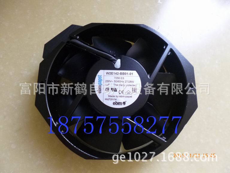 调整大小 P1020601