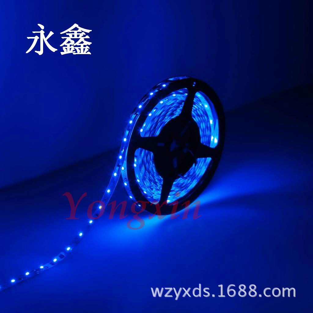 CN YX-3528-12V-60L B