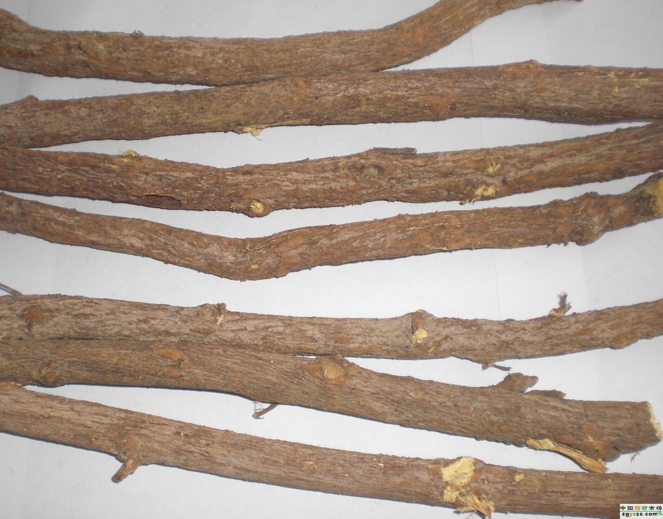 甘肃甘草圆片小圆片产地直销大货 升鼎聚中药