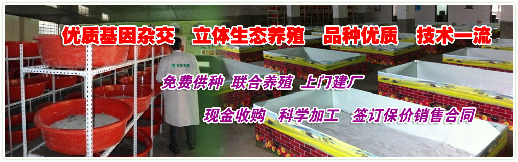 缅甸和记娱乐网址养殖2015 undefined