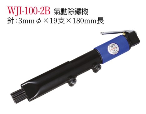 WJI-100-2B