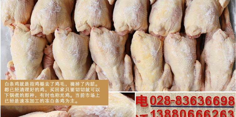 长期现货供应白条鸡清真食品新鲜白条鸡进宏牌冻鸡东北老母鸡