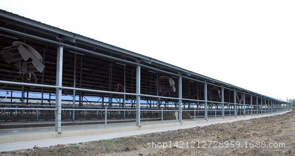 奶牛场现场安装后照片3