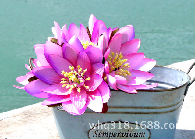 花娟花
