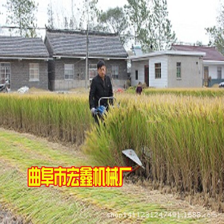 QQ图片20150708102759