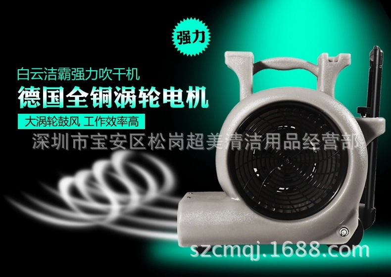 535.webp