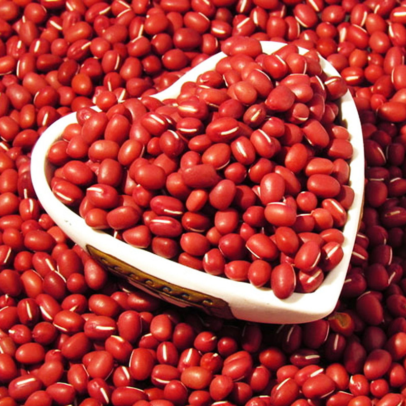 农垦北大荒红豆直销 绿极红豆 纯天然优质一等红豆 豆类五谷杂粮
