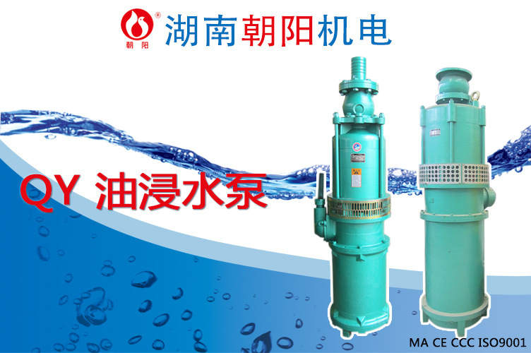 朝阳机电油浸式潜水泵 (7)