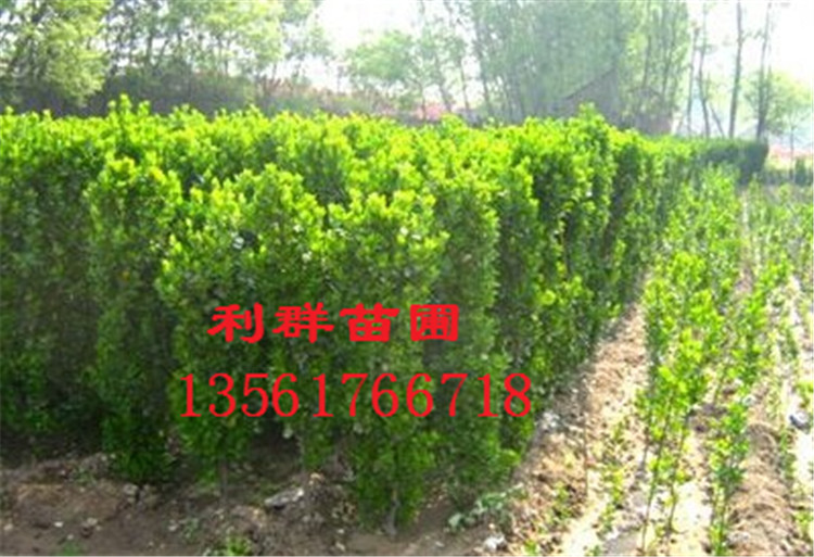 QQ图片20141219135357