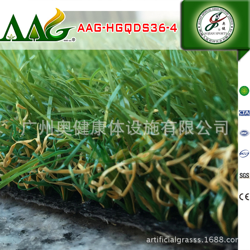 2015-AAG-HGQDS36-4 --16800 (17