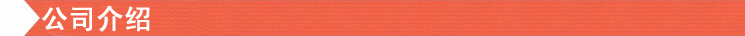 公司介绍