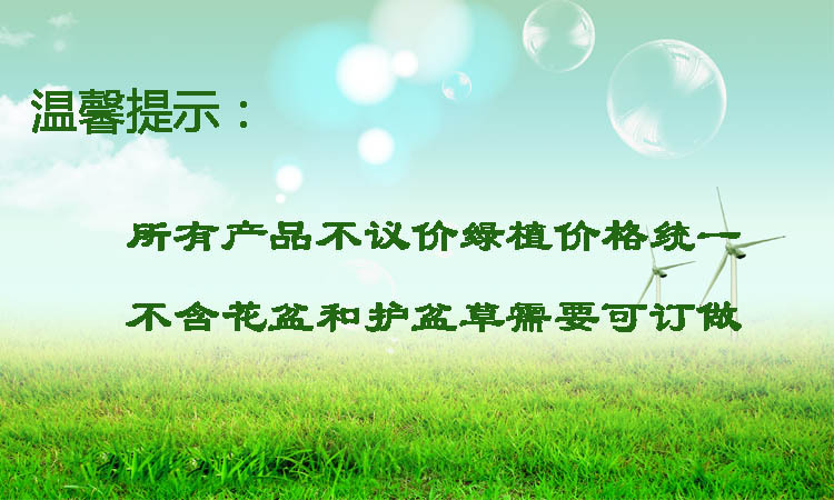 温馨提示