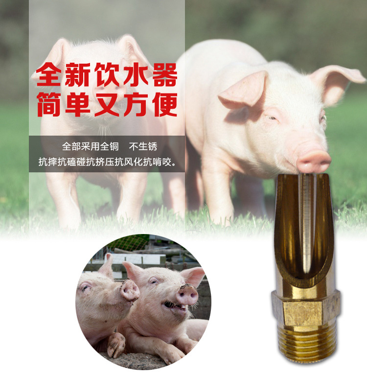 农盛乐猪咬水自动饮水器养殖设备 全铜猪用饮水器 猪水嘴 猪水咀