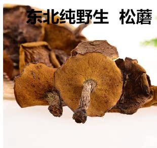 2014精品 松蘑 东北特产纯野生松蘑菇 有实体店 批发零售