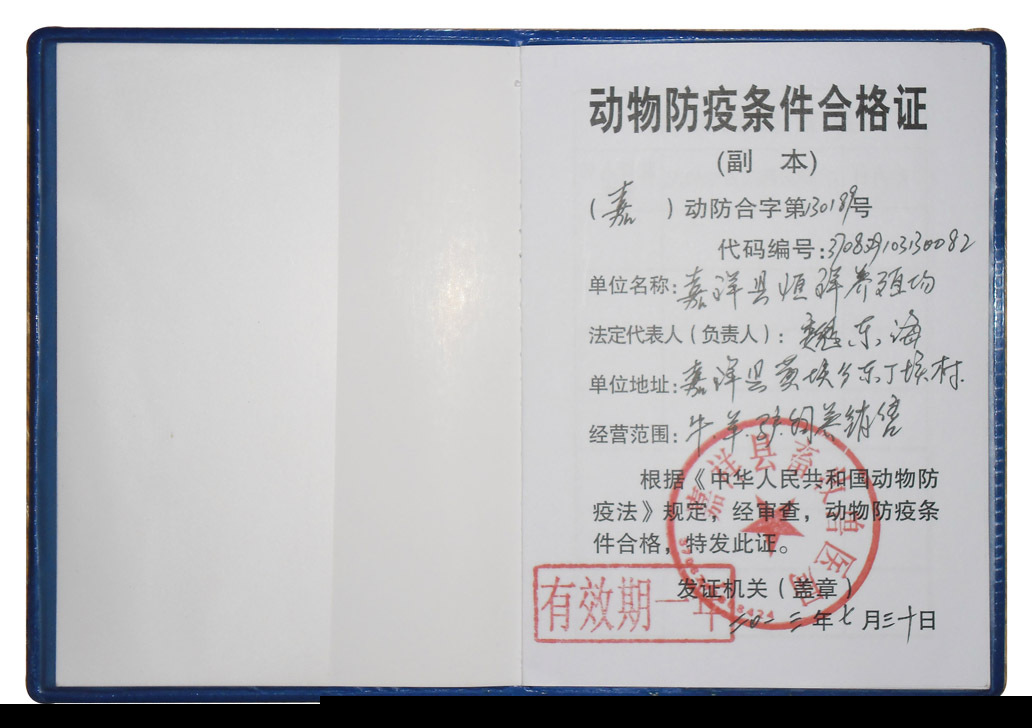 长期专业供应纯种白山羊 恒祥牧业白山羊肉羊价格 养殖批发网