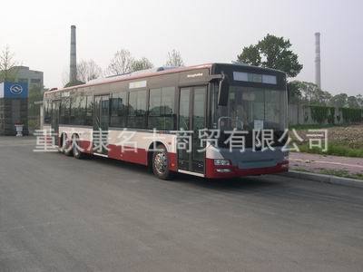 黄海城市客车DD6141S04的图片3