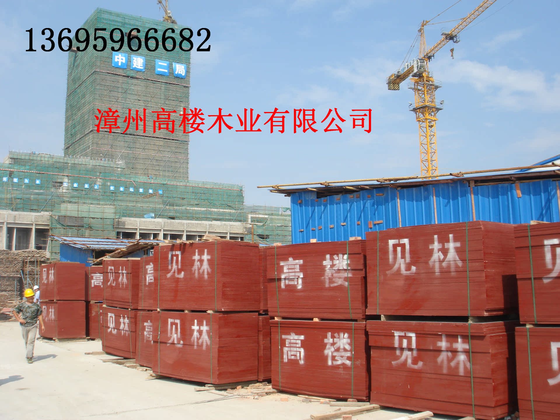 厂家直销 批发供应多种规格胶合板 建筑模板——漳州高楼木业