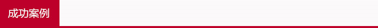 成功案例